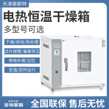 天津泰斯特202-0DB/1DB/2DB/3DB  电热恒温干燥箱 实验室烘箱