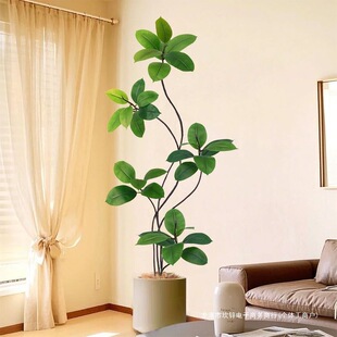 ��Ƥ��Gֲ�͏d��ؔ[���҃ȴ��ͷ������Լ�ֲ���b仨