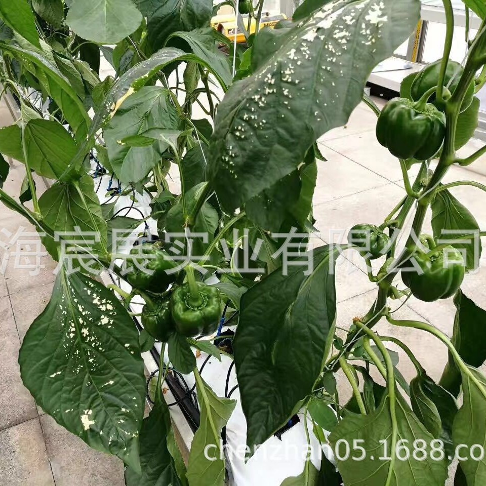 供应无土栽培 农业用岩棉块 温室种植岩棉 栽培基质岩棉