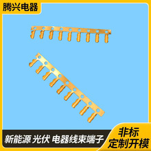 �S��ֱ�N���X8mm���~�X6mm���X�{�~�X�M���B�mu���~��������