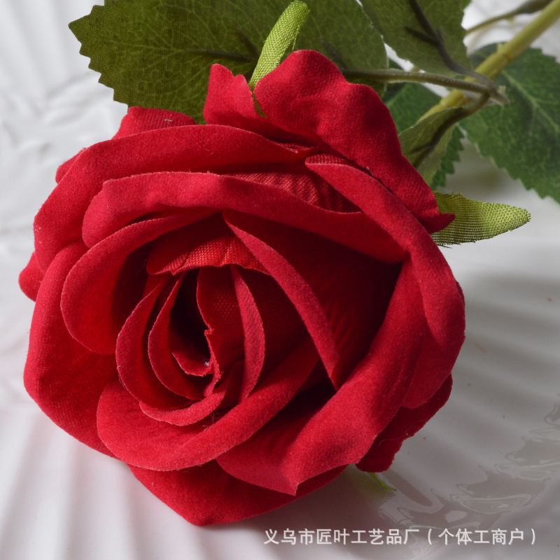 작은 벨벳 밝은 빨간색