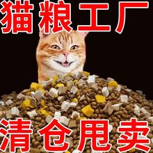 冻干猫粮增肥发腮幼猫成猫通用型营养奶糕低油低盐鱼味天然粮