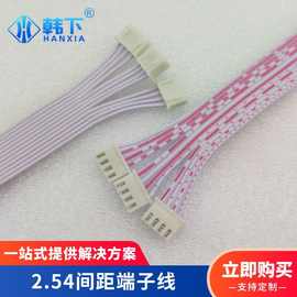 XH2.54间距双头端子内部连接线2.54-4P公头接线束200mm规格有现货