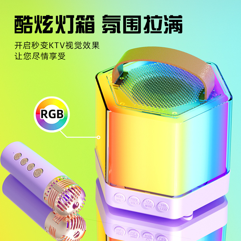 K12K30 Bluetooth カラオケ オーディオ オールインワン マイク マイク ライト付き アウトドア 子供 家族 KTV スピーカー セット|undefined