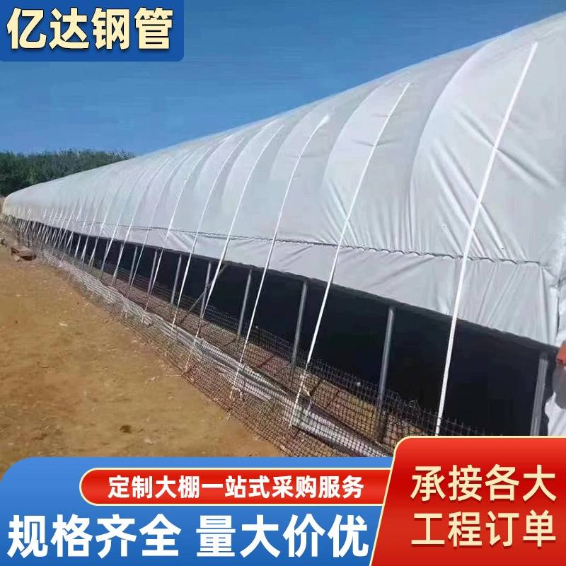 Каркас теплицы из стальных труб, полный комплект, цветочная комната, зимний сад, интегрированная конструкция, простая теплица для выращивания растений