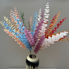 �����ȼ�����ɫ�ȼ����~��c���Ż��ٻ��ɴ��l�[�������ȼ���