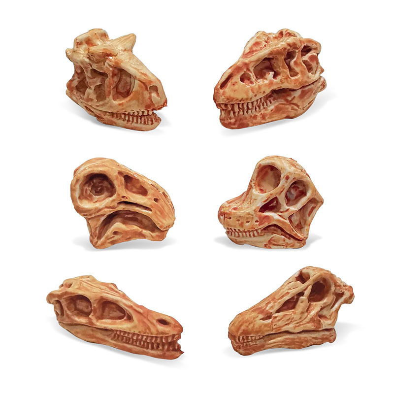 Transfronterizos de venta caliente simulación sólida modelo de cráneo de dinosaurio estático T. rex Velociraptor esqueleto arqueológico juguetes para niños