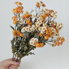 �ͮ�ɫϵС�r����ʾռٻ����[�O��@�L�͏d�����b[��