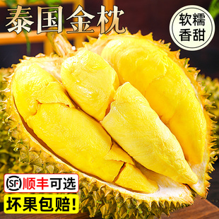 ̩��������ɏ�M�ڬF؛�ٰl���rˮ������10���������ɏ��S���x