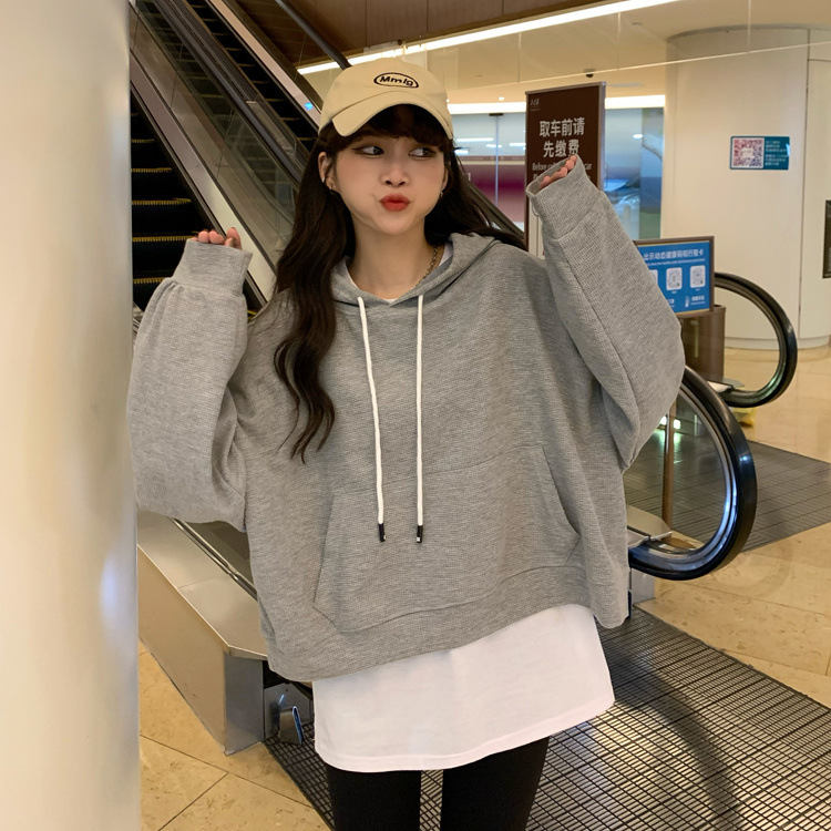 Kurze Kapuzenpulloverjacke - Grau