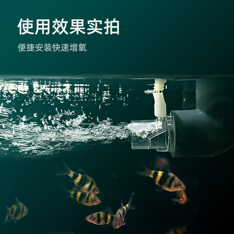 水槽の酸素増加排水口フィルタ出水管の溶存酸素拡散器は電気がなくて酸素を供給していません。|undefined