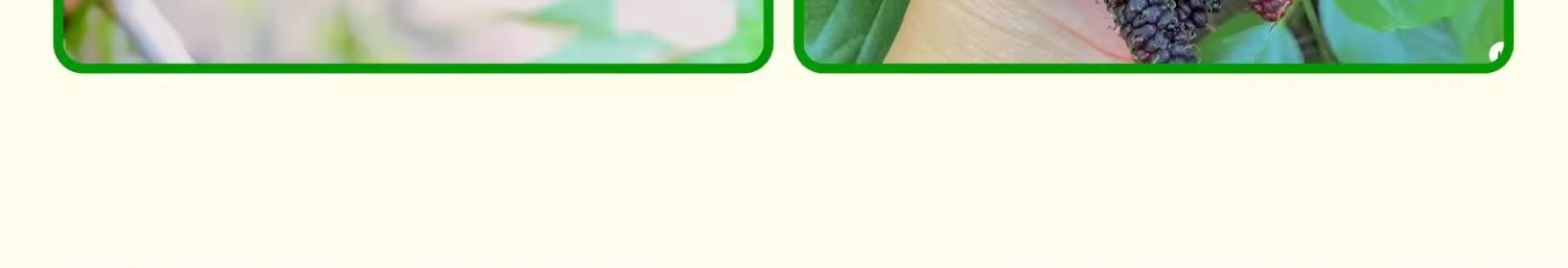 O1CN01K77xsU1KQs67Jsyzv_!!2219532571159-0-cib.jpg?sign=583921_Mzg0OTAxODQ5