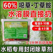 60%噁草丁草胺颗粒水溶球水稻田封闭除草剂旱稻直播稻苗前免下田