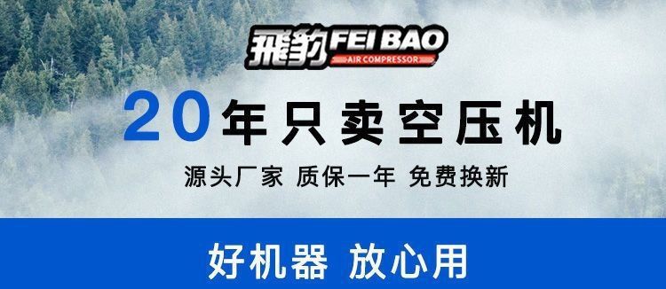 Air pump, air compressor, small air compressor, oil-free, silent, 220V, woodworking, painting, inflating pump