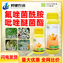 ˹_Ѿrșˮ߲˰׷۲ù