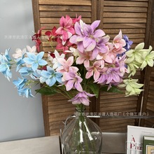 ���滨ˮ�ɰٺϻ���c�b��Ų廨���յ��߼Ҿ��bٻ�