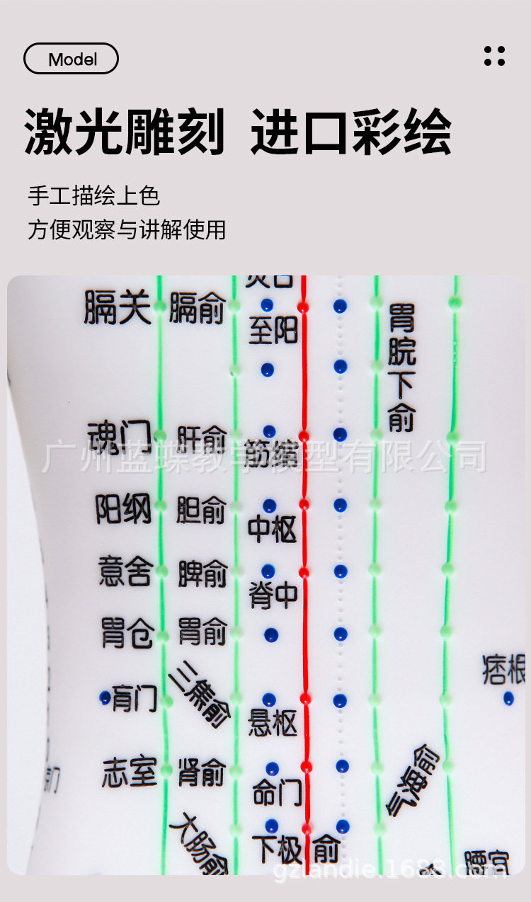 5262cm针灸人_06