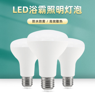 ledԡ���������ݸ���ʡ느a����R�ݟ��҃���������Ģ�����羳