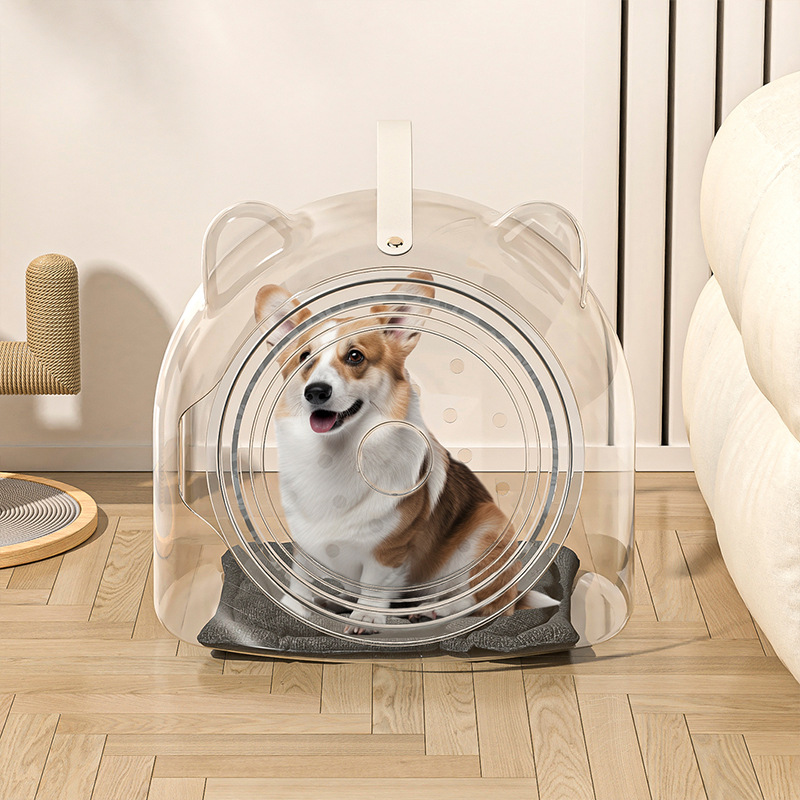 Nido de gatos cuatro estaciones general cápsula espacial sala semicerrada nido de mascotas cama de gato de plástico transparente nuevo nido de mascotas transfronterizas