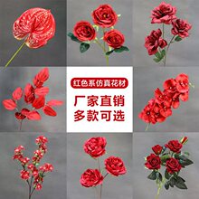 ��c�tɫ����10֧�b���~�ӽ����Y���b�·���廨������ˇ