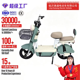 电动自行车;电动三轮车;电动摩托车