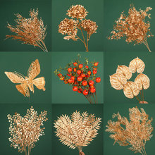 ��ɫϵ���滨���긣Ͱ�廨�[���ȼ�������t����ؔ؈����������