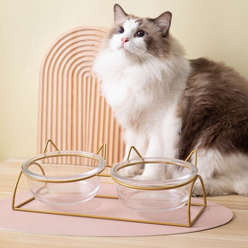 Mascota gato tazón gato plato gato cuenca vidrio alto pie oblicuo boca cuello protección gato comida tazón bebedero doble tazón anti-golpe fácil limpieza