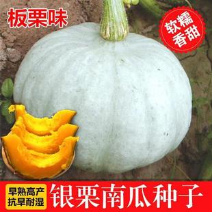 �y�������ϹϷN���ļ�ԭ�b���S��Ŵ�½��F��ؐؐ�Ϲ�Ʒ�N��ȫ