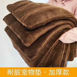 Pet Mat Warm and Stain-Resistant Winter Dog Mat Cat Thickened Large Double-Sided Velvet Dog Sleeping Kennel Aliexpress