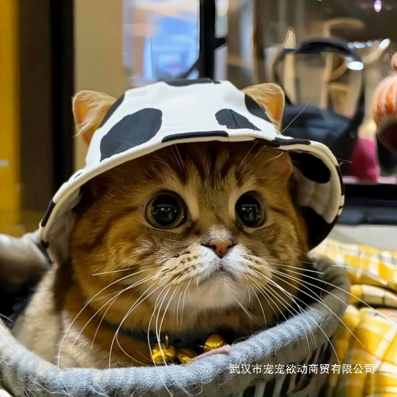 Летняя шляпа-рыболовка для собак и кошек без шерсти, открытая, в стиле ковбоя Девон.