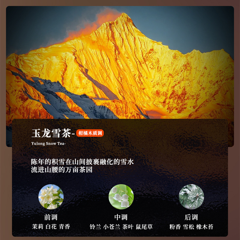 【若風】玉龍雪茶