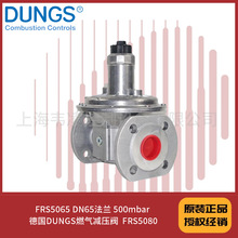 FRS5065 DN65���� 500mbar �¹�DUNGSȼ����ѹ��  FRS5080