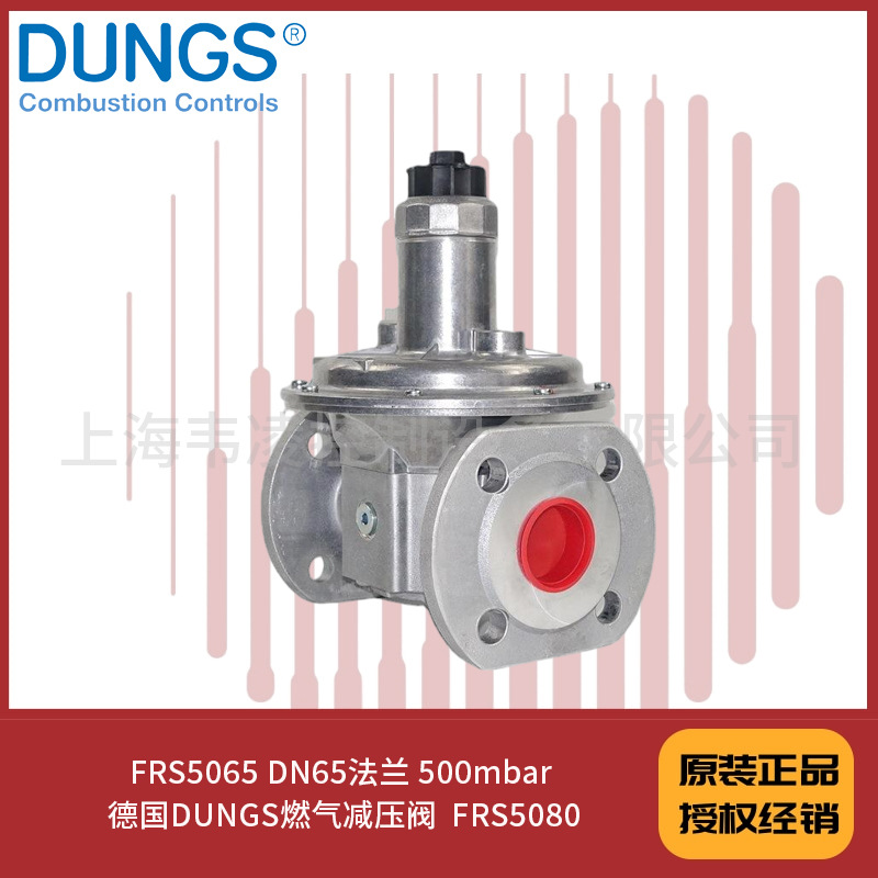 FRS5065 DN65法兰 500mbar 德国DUNGS燃气减压阀  FRS5080