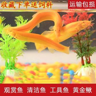 �����~ˇ�S�����q�����q�^�p�����~��������坍�~�׺��B������