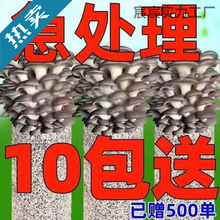 ᘹNֲyNֲĥþNUNֲľͥNֲ