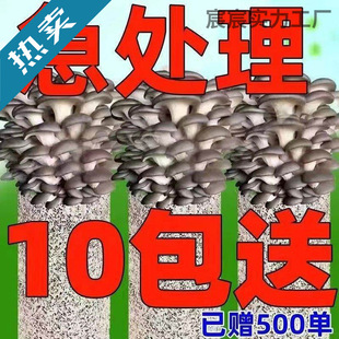 ��ᘹ��Nֲ�����y���Nֲ����ĥ�þ��N���U���Nֲ��ľ����ͥ�Nֲ��