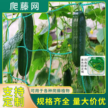 �羳���پW�m��춑��⻨�@����ֲ�����@ˇ�Ϲ����ܸ��ӾW���l