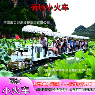 Outdoor Lotus Pond Train Sightseeing Amusement Car Parent-Child Study Facility Small Train Rural Revitalization Secondary Consumption Project