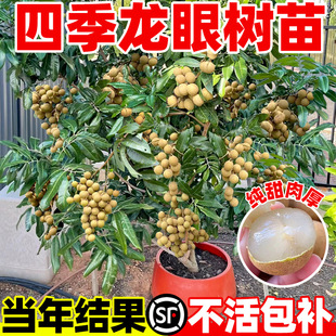 ���ۘ��m�޽Ӵ��������ļ�������ʯ�����A����Y���Ϸ��Nֲˮ����