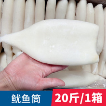 新鲜去头鱿鱼筒冰冻尤鱼筒冷冻目鱼筒墨鱼筒铁板烧烤海鲜批发商用