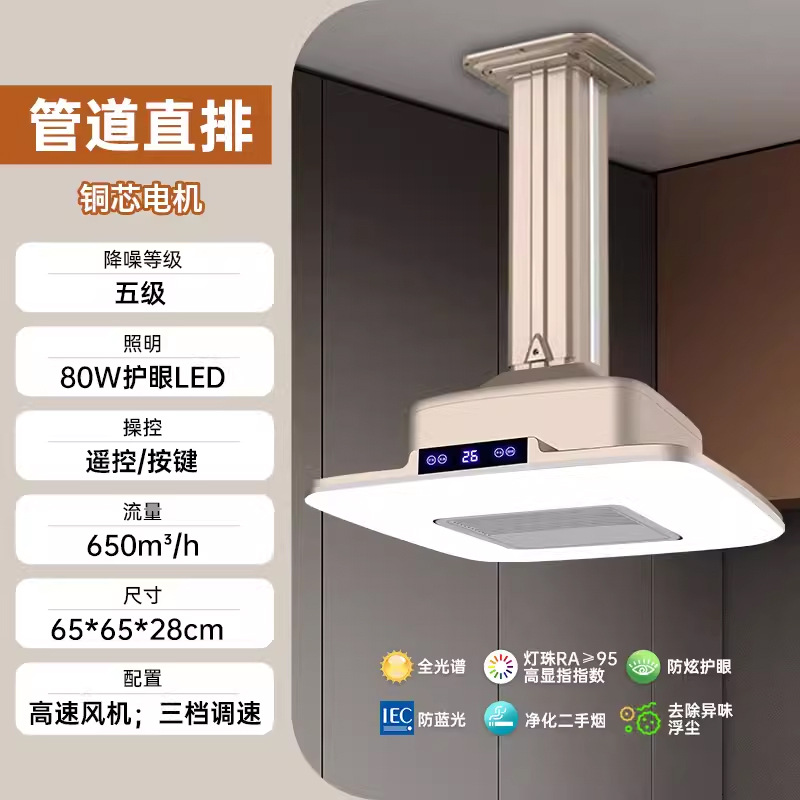 19 표준 구성 [초박형 C 모델] 샴페인 골드 (도어 설치)