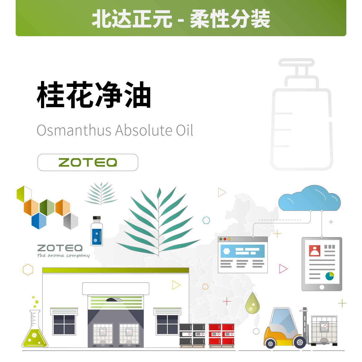 Zoteq - 桂花净油 柔性分装 977103-81-3 OSMANTHUS ABSOLUTE