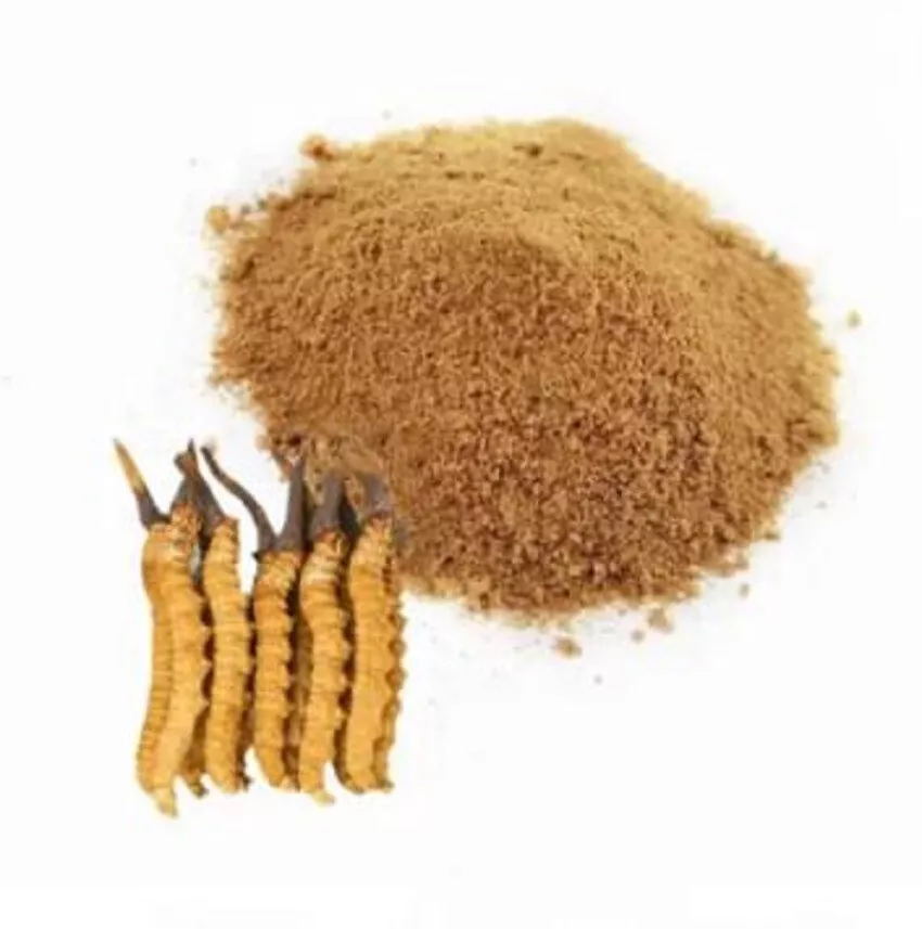 Cordyceps Powder Dong Chong Xia Cao 10g Dried Caterpillar Fungus Ground Herb for Daily Herbal Use key features