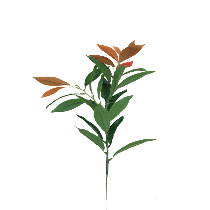 新桂花叶单枝 2.jpg