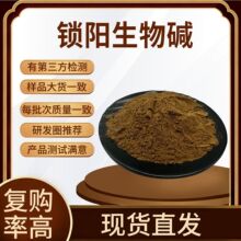 锁阳生物碱98%锁阳碱 水溶性锁阳提取物 锁阳生物碱 包邮100g/袋