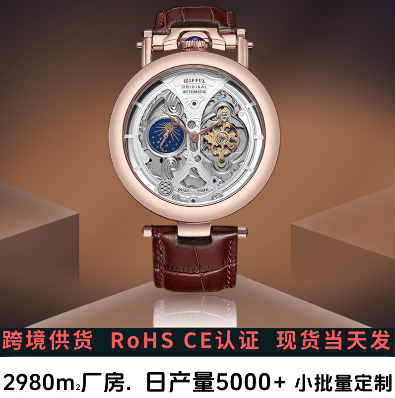 Brand New Cross-Border Hot-Selling Men's Watch High-End Waterproof Fully Automatic Tourbillon Mechanical Watch Dropshipping