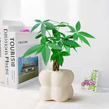 �帣�lؔ������Gֲ���Ա��W�L�҃���ؔ���B�ļ��m�ϑ��˵�С�辰