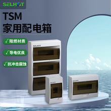TSM /TXM澳标日兰梅兰家用明装塑料配电箱新梅兰断路器回路箱IP40
