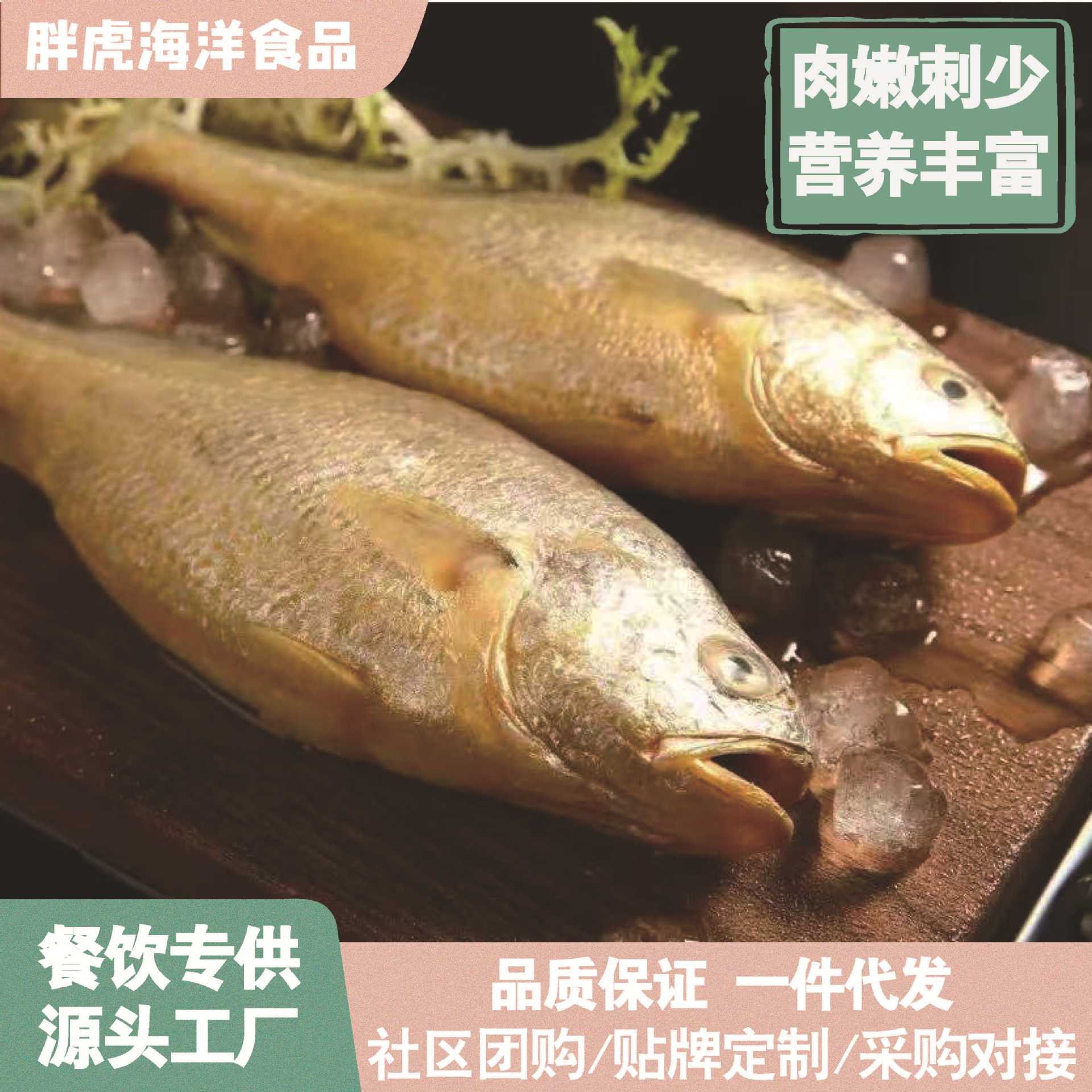 黄鱼小黄花鱼特大新鲜海捕新鲜海鲜批发小黄鱼整条