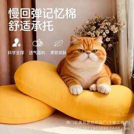 源头工厂美妆蛋猫儿肚枕记忆棉枕芯护颈枕猫枕头直播批发代发